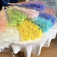 Fleur naturelle préservée de qualité supérieure, longue durée, pour bouquet de mariage, couronne de Noël, décoration intérieure