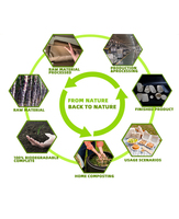Boîte alimentaire à emporter en bagasse à 2 compartiments, biodégradable, compostable, résistante à l'eau et à l'huile, utilisable au micro-ondes