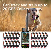 Traceur GPS pour chien - Puce Galileo/BDS multi-satellite, localisation en 3 secondes, cartes hors ligne, historique de 7 jours, lecture en continu