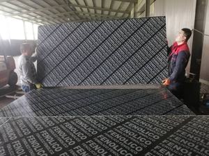 Papan fenolik kayu lapis fenolik panah Pasar Filipina 1220*2440*18mm kayu lapis Fim berwajah kayu lapis - Product Image 3