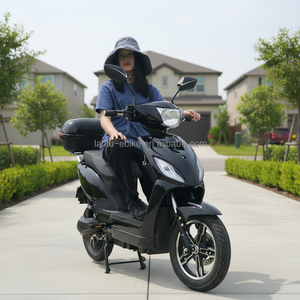 Scooter <span class=keywords><strong>électrique</strong></span> haute vitesse 1000W homologué EEC COC, sans <span class=keywords><strong>permis</strong></span> requis pour les trajets quotidiens des adultes, directement de l'usine - Product Image 4