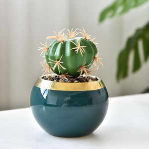 Vasi in <span class=keywords><strong>Ceramica</strong></span> per <span class=keywords><strong>Piante</strong></span> Succulente con Supporto in Metallo, Decorazione Moderna e Lussuosa per Casa e Giardino - Product Image 4