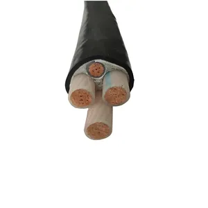 Yjv 0.6/1kv 5x70mm2 Xlpe Insulated/jacket Cu Electrical Power Cable