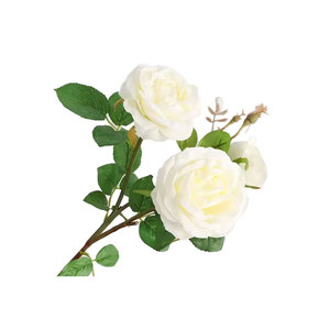 Hstyle Dernière Usine Directe Plutus <span class=keywords><strong>Chat</strong></span> <span class=keywords><strong>Fleur</strong></span> Distributeur Artificiel <span class=keywords><strong>Fleur</strong></span> Pivoines Western <span class=keywords><strong>Blanc</strong></span> Rose Rose Fleurs Artificielles - Product Image 1