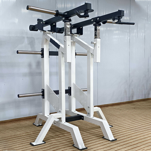 Máquina de entrenamiento de espalda vertical con carga de placas - Equipo de gimnasio en casa de acero seguro - Product Image 6