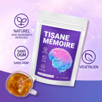 Thé aux herbes pour la mémoire, directement de l'usine, 20 sachets pyramidaux, soutien cérébral, concentration, boisson botanique naturelle, vente en gros