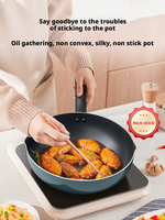Wok polyvalent à fond plat antiadhésif avec couvercle en verre, capacité de 18 L, poignée en silicone pour cuisines domestiques, compatible avec toutes les plaques de cuisson