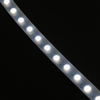 LED Neon Flex 16*16mm 100LM/W IP68 Bande lumineuse étanche pour Sauna Grand Bâtiment Paysage Façade Lumière