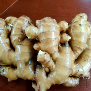 Jengibre Chino Orgánico de Nueva Cosecha, 100% Puro y Natural, Marca Óptima, Jengibre Fresco para Mayoristas de Alimentos - Product Image 4