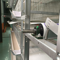 Cage à poules à plusieurs niveaux avec élimination manuelle du fumier, cage d'élevage avicole, dimensions personnalisables