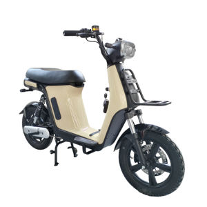 Portaequipajes de Carga con Disco Delantero/Trasero de Dos Ruedas con Certificación CE para Entrega de Comida Rápida, Pizza, Scooter Eléctrico con Motor de 500W/800W con Pedaleo Asistido - Product Image 6