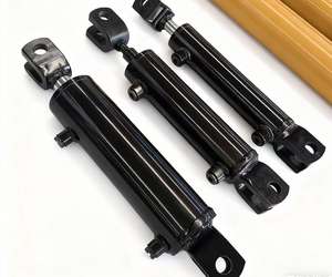 Fabrika özelleştirilmiş çift etkili küçük hidrolik Piston kolu silindirleri - Product Image 1