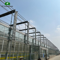 Serres solaires passives de luxe, matériaux de filet d'ombrage, serres en verre, designs victoriens