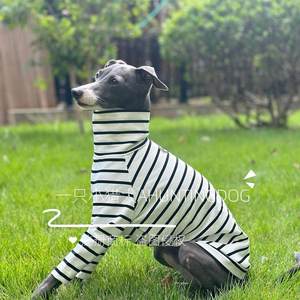 Gilet rayé pour lévrier, t-shirt de base en coton peigné, doux pour la peau, respirant, décontracté, toutes saisons, lévrier <span class=keywords><strong>italien</strong></span>, <span class=keywords><strong>whippet</strong></span> - Product Image 2