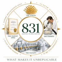 Extrait de Champignon Doré Puissant, Complément Liquide Concentré Premium, Boisson Bien-être Naturelle, Support OEM ODM Marque Privée