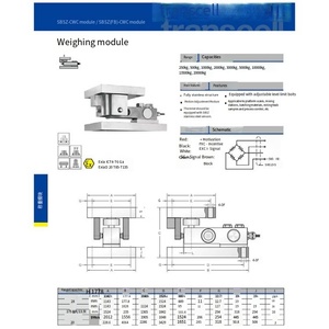 Modules de pesage VEIDT pour American Transmite Supplies : SBSZ-CWC-10t et SBSZ-CWC-13.5t SBSZ-CWC VEIDT Pesage - Product Image 2