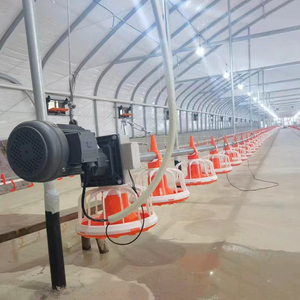 Equipamento Automático Avicultura Sistema Agrícola Completo com Equipamentos Casa Galinha e Alimentadores Animais - Product Image 3