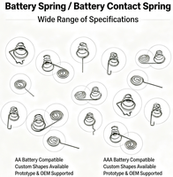 Ressort de batterie en acier inoxydable ZW, ressort de contact de batterie, ressort positif et négatif pour jouet