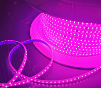 Bande LED étanche en silicone 2835 AC 220V 110V 100M/ROULEAU 1000M/ROULEAU 3000K 6000K IP65 IP68 pour extérieur