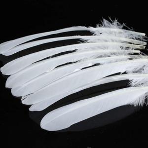 <span class=keywords><strong>2025</strong></span> Vịt Lông Cho Bán Indonesia 15-19Cm Cong Lông - Product Image 1