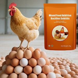 <span class=keywords><strong>Acheter</strong></span> Prémélange d'additifs alimentaires pour volailles de croissance, enrichi en vitamines pour <span class=keywords><strong>poules</strong></span> <span class=keywords><strong>pondeuses</strong></span>, pour l'augmentation de la production d'œufs et la santé <span class=keywords><strong>des</strong></span> poussins - Product Image 1