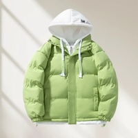 Vestes à capuche personnalisées en gros, vestes d'hiver pour hommes légères et confortables, polyvalentes pour l'extérieur