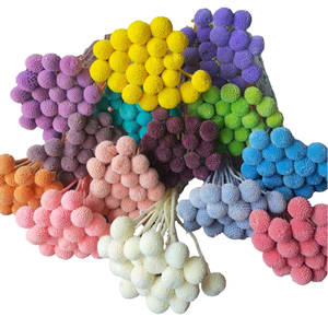 Bouquet de Billy Buttons Conservés avec 20 Tiges pour Décoration de Mariage, Maison, Bureau, Fête - Product Image 1