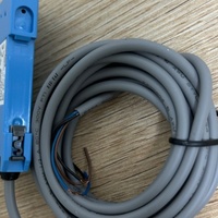 Sensor de Fibra Óptica WLL170-2N132 6029515