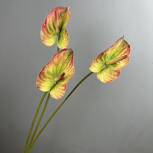 Vente directe usine – <span class=keywords><strong>Fleurs</strong></span> artificielles EVA Anthurium Rouge au toucher doux, grandes feuilles de lotus, Alocasia chinoise moderne – Saint-Valentin - Product Image 3