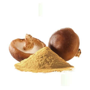 Extrait de champignon <span class=keywords><strong>Shiitake</strong></span> sauvage en poudre <span class=keywords><strong>AHCC</strong></span>, 30% de polysaccharides, soluble dans l'eau, emballage en fût, qualité alimentaire - Product Image 3