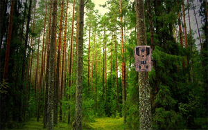 PR900 2026 Caméra de chasse infrarouge la plus vendue 2.7K 36MP pour la surveillance de la faune, avec détection de mouvement et vision nocturne - Product Image 5