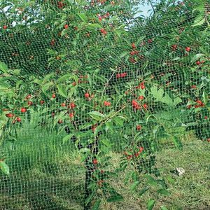 ตาข่ายป้องกันนกดาวเอ็มที2X5สีเขียวสำหรับใช้งานเครื่องมือกลึง - Product Image 3