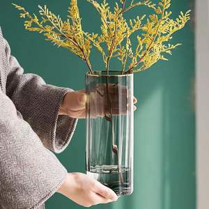 Jarrón de cristal nórdico Ins Simple pintado en gris, Color primario transparente para arreglos florales para sala de estar, flor hidropónica de Lirio - Product Image 3