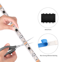 Bandes LED programmables en couleur pleine 12V SMD5050 avec circuit intégré externe pour bars et KTV