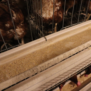 Presa di fabbrica di alta qualità automatico bevitore alimentatore pollame Farm automatico gabbia di strato di pollo con la raccolta automatica delle uova - Product Image 2