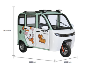 Triciclo Passeggeri di Nuova Concezione, Triciclo Motorizzato Chiuso - Product Image 3
