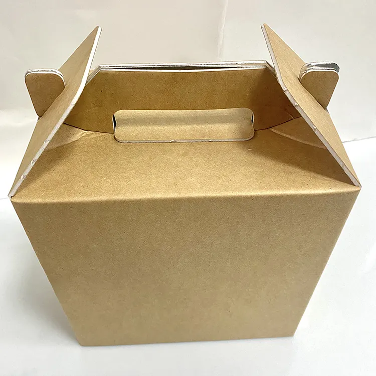 Cold chain kraft paper aluminum foil insulated carton can print LOGO cold chain box