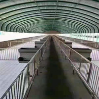 Structure ovale galvanisée à chaud pour abri d'élevage, anti-corrosion, pour élevage agricole