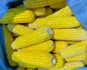 BRC HACCP кошерная Халяль, оптовая продажа, раздача, замороженная кукуруза, сладкая - Product Image 3