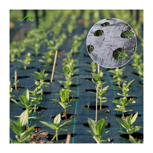 Tela <span class=keywords><strong>geotextil</strong></span> de barrera de malezas tejida PP fuerte personalizada <span class=keywords><strong>malla</strong></span> ecológica para exteriores - Product Image 6