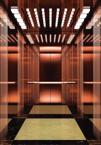 Villa de plástico moderno de calidad superior Ac Drive Elevator para Hotel Hospital - Product Image 6