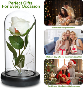 Rosa Eterna en Cúpula <span class=keywords><strong>de</strong></span> Cristal para <span class=keywords><strong>Despedida</strong></span> <span class=keywords><strong>de</strong></span> <span class=keywords><strong>Soltera</strong></span>, Día <span class=keywords><strong>de</strong></span> la Madre, Decoración <span class=keywords><strong>de</strong></span> Mesa para Recepción <span class=keywords><strong>de</strong></span> Boda, <span class=keywords><strong>Sorpresa</strong></span> <span class=keywords><strong>de</strong></span> Cumpleaños, Aniversario <span class=keywords><strong>de</strong></span> Matrimonio - Product Image 2