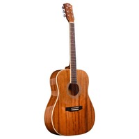 FANTE 41 Inch Sapele Acoustic Guitar 6 Strings Guitar Music Instrument for Beginner or Performance