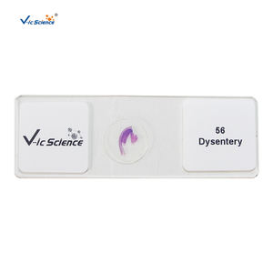 Patologie-Objektträger Lehrmittel <span class=keywords><strong>Tumor</strong></span>-Experimentierausrüstung und Artikel Professionelle Hersteller Patologie-Objektträger - Product Image 4