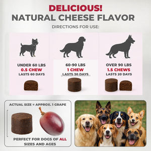 OEM Max Strength Dog Urinary Tract Wellness Aid Cranberry D-Mannose Bladder Maintenance Booster Soft Chews Care Aid 30ct - Product Image 3