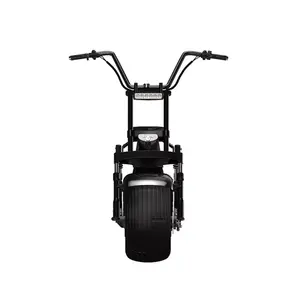 Yetişkin şişman lastik elektrikli Scooter 2000W Premium elektrikli motosiklet teslimat için