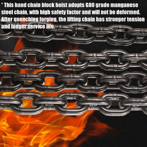 Ce chứng nhận tay chuỗi ròng rọc khối kích thước nhỏ <span class=keywords><strong>500kg</strong></span> 1000kg 2000kg 5000kg 20000kg 30000kg chuỗi ròng rọc khối - Product Image 4