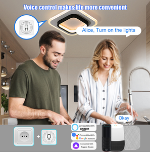 Tuya WiFi Zigbee çok kanallı kuru kontak perde karartma ölçüm akıllı anahtar AC100-240V 10A Mini akıllı anahtar akıllı ev için - Product Image 6