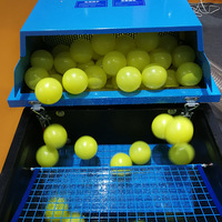 Machine de nettoyage de piscines à balles de petite taille, désinfection, lavage à sec, machine de nettoyage de balles en plastique pour aire de jeux intérieure