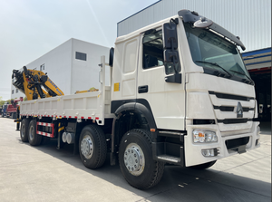 رافعة محمولة بذراع قابلة للطي من Sinotruk Howo 8x4 مع قدرة رفع 20 طن و 25 طن و 30 طن - Product Image 3